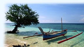 Resguide till Maluku