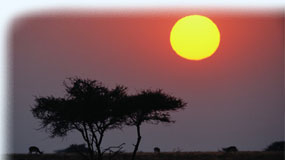 Resguide till Etosha Nationalparken