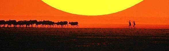Resor till Botswana