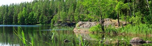  Resor till Lappland - en överblick 
