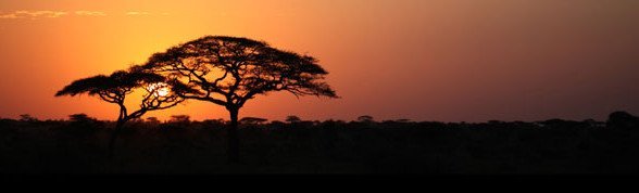  Resa till Tanzania - en överblick