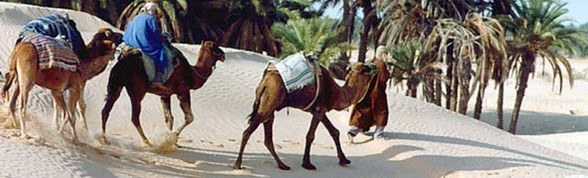  Resa till Tunisien - en överblick