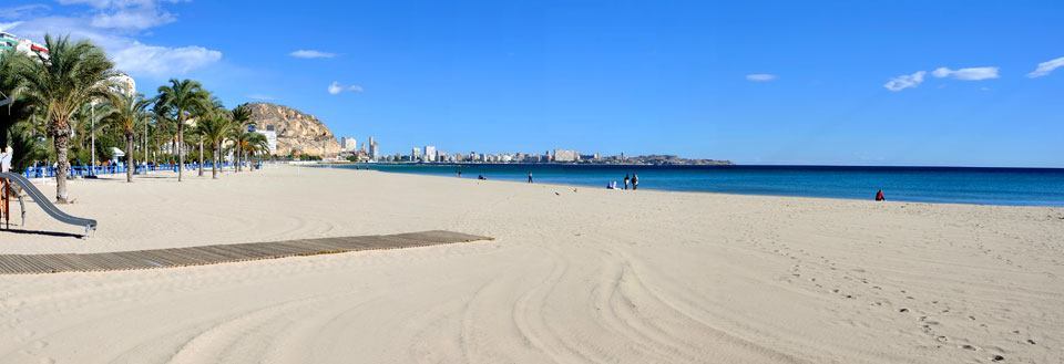 En omfattande sandstrand med glesa människor, palmträd längs strandpromenaden, och en stadssilhuett i fjärran mot en klarblå himmel.