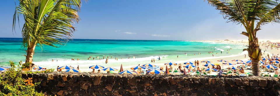 En solig strandpromenad med badande människor, färgglada parasoller och en palmblad i förgrunden.