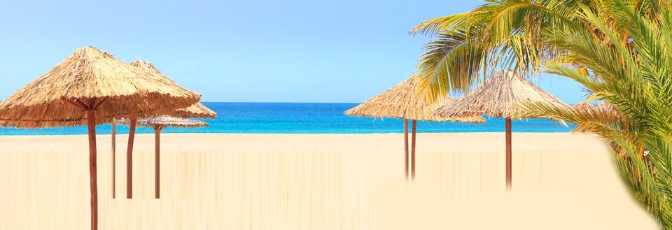 Bild av en fridfull strand med kristallklart blått vatten, gyllene sand, halm parasoller och en grön palm.