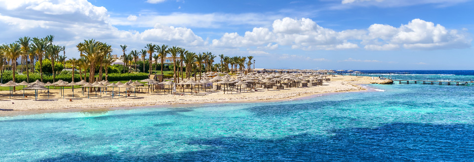 En exotisk strand med parasollrad, palmer och klarblått hav mot en solig himmel.