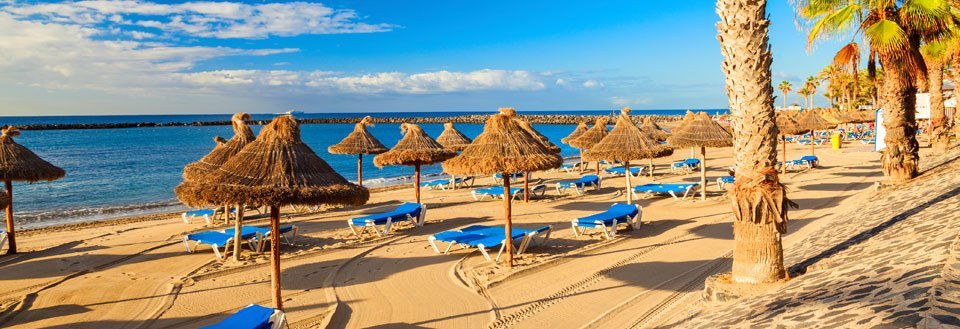 En solig strand med palmträd och rader av parasoller och solstolar vid vattenbrynet.