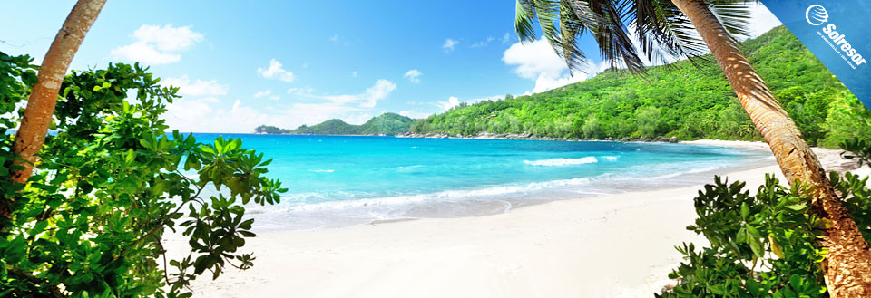 Tropisk strand med kristallklart blått vatten, inramad av gröna träd och en klarblå himmel.