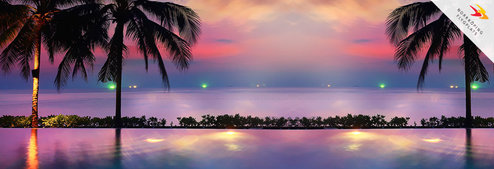 Bild av en tropisk solnedgång med palmträd och ett lugnt hav som speglar himlens färger.