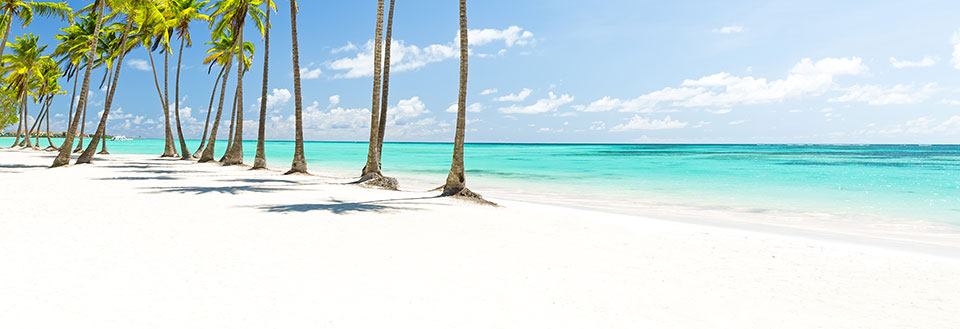 Bilden visar en tropisk strand med vit sand, klart turkost vatten och höga palmer under en klarblå himmel.