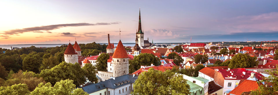 Panoramavy över Tallinn  med röda tak, spiror och torn under kvällshimlen.