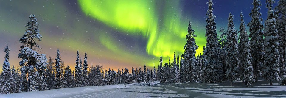 Ett vinterlandskap på natten med norrsken som dansar över snötäckta träd och en snöig väg.