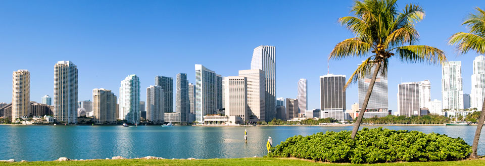 Modern stadssilhuett med skyskrapor och palmer längs vattnet under en klar blå himmel.