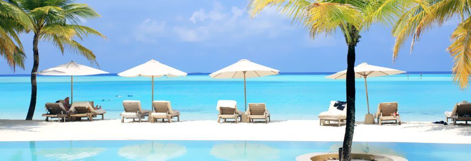 Tropisk strandvy med parasoller, solstolar och palmer framför ett klarblått hav.