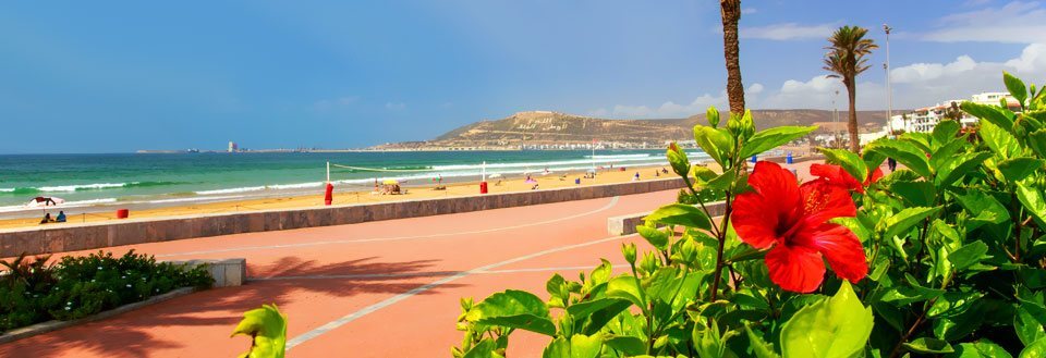 En solig strandpromenad med människor som njuter av vädret, sandstranden och havsutsikten, kantad av palmer och färgglada blommor.