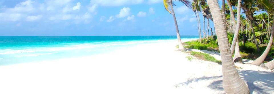 Paradisisk strand med vit sand, ljusblått hav och gröna palmer under strålande blå himmel.