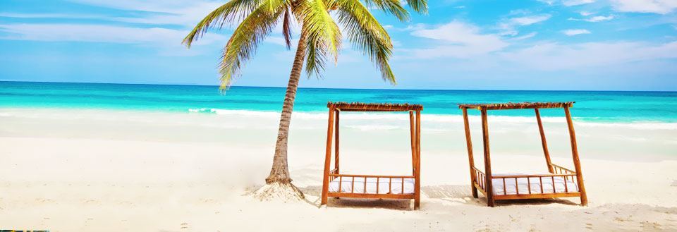Tropisk strand med klarblått vatten och två trähammockar under en palm.