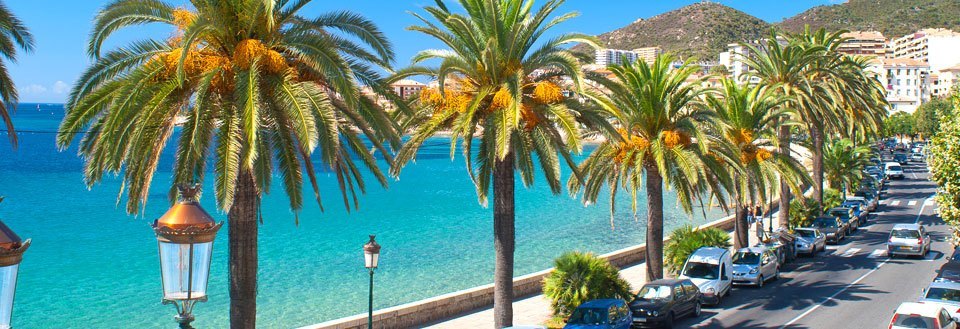 Solig strandpromenad med palmer och härlig utsikt över det klarblå havet.