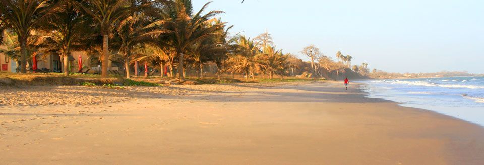 En ödslig strand med palmer och en person, som promenerar längs vattenbrynet.
