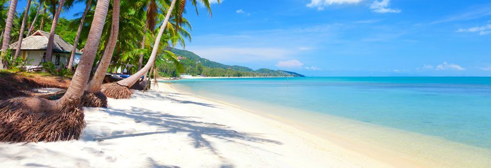 Fridfull strand med palmer, vit sand och kristallklart vatten mot blå himmel.