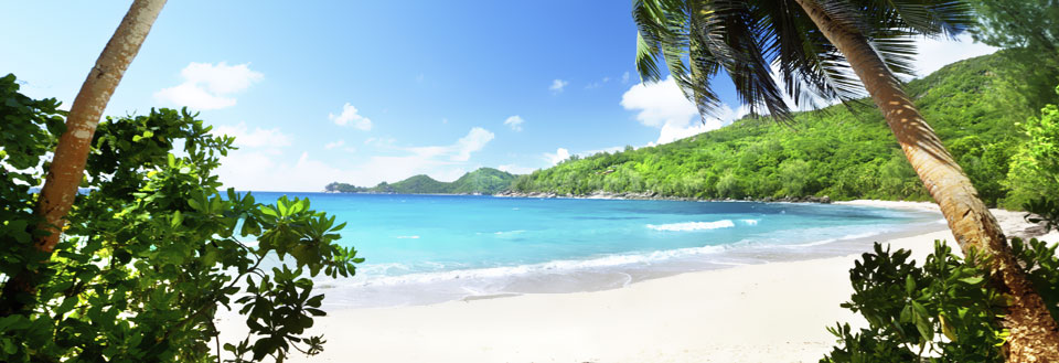 En idyllisk strandvy med turkosblått hav, vit sandstrand och lummig grön växtlighet.