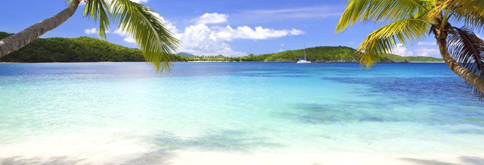 Tropisk strand med palmer, kristallklart blått vatten och en klarblå himmel.