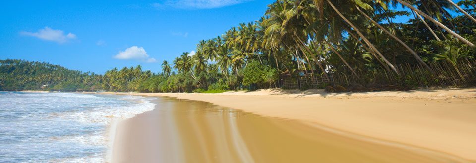 Bild av en fridfull strand med gyllene sand, vajande palmer och klarblå himmel.