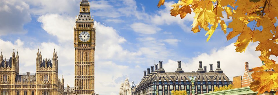 Big Ben och Westminsterpalatset i London med höstlöv i förgrunden.