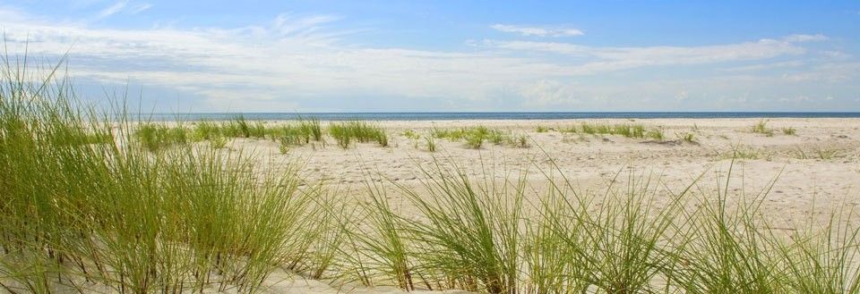 En fridfull strand med fin sand och grönt strandgräs. En klar blå himmel når horisonten.